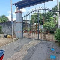 Đất Đẹp Đường Trần Thị Năm, Phù Hợp Ở Lâu Dài, Đầu Tư Sinh Lời Cao