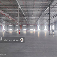 Cho Thuê 35.000M2 Xưởng Trong Khu Công Nghiệp Tại Long An