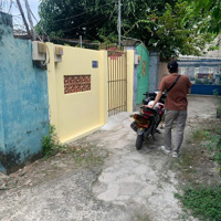 Cho Thuê Nhà Nguyên Căn, Khu Cư Xá Điện Lực, Đường Số 2, Phường Trường Thọ, Thành Phố Thủ Đức
