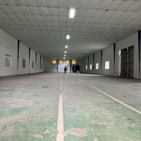 Cho Thuê Kho 1100M2 Có Văn Phòng Giá Hot Ngay Mặt Tiền Đường Tân Thới Nhất 7, Quận 12