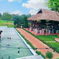 Cần Bán Homestay Nghỉ Dưỡng Cao Cấp 2.800M Tại Tiên Phong, Ba Vì Giá Chỉ 9 Tỷ, Có Thương Lượng!