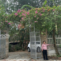 Cần Bán Homestay Nghỉ Dưỡng Cao Cấp 2.800M Tại Tiên Phong, Ba Vì Giá Chỉ 9 Tỷ, Có Thương Lượng!