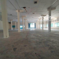 Cho Thuê Kho Giá Shock Nhiều Diện Tích Từ 800-1000M2 Trong Kcn Tân Bình, Q. Tân Phú.