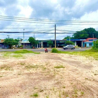 Bán 2 Sào Cà Phê Non (50X43 = 2.250M2) Shr, Mặt Tiền Đường Số 7 (Giá 960 Triệu), Sát Kcn 550Ha