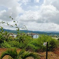 Đất Gần Uỷ Ban Xã Xuân Thọ, Tp. Đà Lạt, Diện Tích: 1147M2 Có 270M2 Xây Dựng, Tặng Căn Nhà Cấp 4, Giá Bán 7 Tỷ