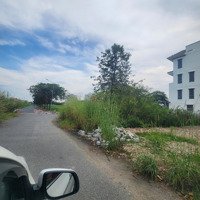 Bán Đất Nền Dự Án Tại Đường Muồng Tím, Cát Lái Invesco
