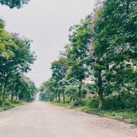 9 Tỷ Có Ngay Căn Biệt Thự Đẹp Kdt Quang Minh -Mê Linh-Hà Nội 0967522585