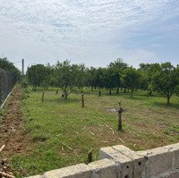Bán Đất Tại Bắc Phong, Cao Phong, Hòa Bình, 2480M2, Giá Thỏa Thuận, Pháp Lý Đầy Đủ
