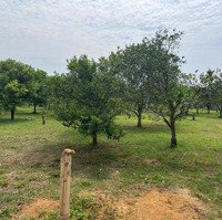 Bán Đất Tại Bắc Phong, Cao Phong, Hòa Bình, 2480M2, Giá Thỏa Thuận, Pháp Lý Đầy Đủ