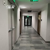 Căn Hộ Cao Cấp Nhà Nhật Ngày Vườn Nhật, Hồ Thiên Nga Rất Đẹp, Mát Mẽ Và Tiện Lợi