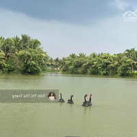 Độc Quyền Bán Sl Hoa Sữa 286M Thế Nở Hậu, Đã Hoàn Thiện, Sân Trước Sau Cân Đối, Sông Rộng Sau Nhà
