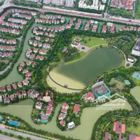 Độc Quyền Bán Sl Hoa Sữa 286M Thế Nở Hậu, Đã Hoàn Thiện, Sân Trước Sau Cân Đối, Sông Rộng Sau Nhà