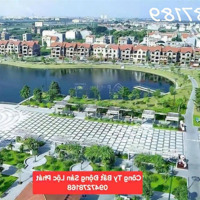 Cần Bán Gấp Lô Đất Kđt Đại Dương, Thành Phố Bắc Ninh