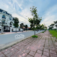 Chính Chủ Bán Gấp Lô Đất Nền Dự Án Kđt Nam Vĩnh Yên, Diện Tích: 120M Mt6M Hàng Hiếm Giá Chỉ Hơn 3 Tỷ Xíu