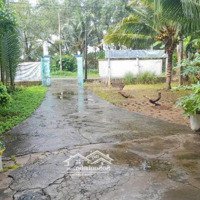 Bán Đất Tại Mỹ Thạnh An, Thành Phố Bến Tre, 850 M2, Giá Tốt 4,96 Tỷ Thương Lượng.