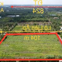 8706m2 đất vườn ấp 8 xã Lương Hòa, Bến Lức, Long An giá 18 tỷ