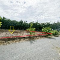 Cần Tiền Xoay Vòng Bán Lô Đất 1180M2 Sẵn 372M2 Thổ Cư Mặt Tiền Đường Nhựa, Sổ Hồng Công Chứng Ngay
