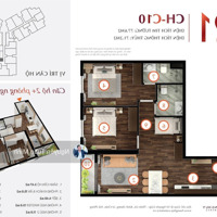 Chuyển Nhượng Căn 2. 5 Phòng Ngủhoàng Huy Commecre Rẻ Nhất Thi Trường - Toà Tulip View Cầu Rào
