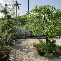 Chính Chủ Gửi Bán Siêu Phẩm Nhà Vườn Tại Thôn Thù Du, Xã Minh Tân, Huyện Kiến Thụy, Thành Phố Hp