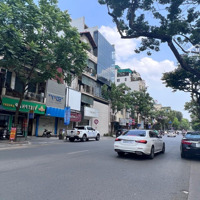 Mặt Phố Kinh Doanh Đầu Tư Dòng Tiền Vượt Trội Phan Chu Trinh Nối Hàm Long, Lê Văn Hưu Hoàn Kiếm