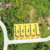 Cắt Lỗ Đất Đấu Giá Bán 260 Triệu Tại Thạch Quảng, Thạch Thành,Mặt Tiền7M Ngang 20M, 400M Ra Đường Hcm, Sẵn Sổ