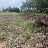 Bán Đất 2,4 Tỷ, 2156.5M2 Tại Xã Lai Hưng, Bàu Bàng, Bình Dương