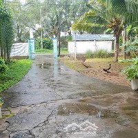 Bán Đất Tại Mỹ Thạnh An, Thành Phố Bến Tre, 850 M2, Giá Tốt 4,96 Tỷ