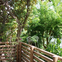 Bán Căn Villa Siêu Đẹp View Sông Hội An - Không Gian Vườn