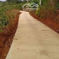 Bán 2000M2 Đất, Đường 3M, Tại Xã Xuân Trường, Đà Lạt, 30 Tỷ, Chính Chủ, Hot