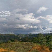 Bán 2000M2 Đất, Đường 3M, Tại Xã Xuân Trường, Đà Lạt, 30 Tỷ, Chính Chủ, Hot