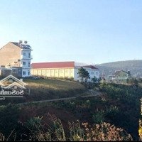 Bán 2000M2 Đất, Đường 3M, Tại Xã Xuân Trường, Đà Lạt, 30 Tỷ, Chính Chủ, Hot