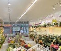 Cho Thuê Nhà Mặt Phố Triệu Việt Vương: Diện Tích 35M X 7 Tầng, Mặt Tiền 4.2M, Thông Sàn, Nhà Đẹp