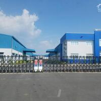 Cho thuê kho xưởng tại Cẩm Giàng, Hải Dương. DT 500m, 2000m2, 6000m2....