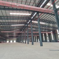 Cho Thuê Kho Xưởng Mới 30.000M2, Pháp Lý Chuẩn, Tại Cụm Công Nghiệp Tỉnh Bình Thuận.