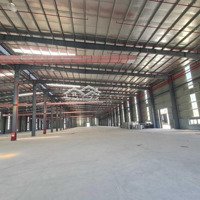 Cho Thuê Kho Xưởng Mới 30.000M2, Pháp Lý Chuẩn, Tại Cụm Công Nghiệp Tỉnh Bình Thuận.