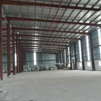 Cho Thuê 11.500m2 Nhà Xưởng Trong KCN Bình Dương DT Đất 22.000m2