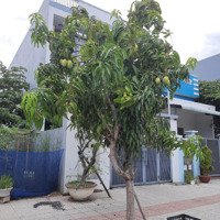 Bán Lô Đất Đường Thanh Lương 32, Rẻ Nhất Khu Hòa Xuân Mở Rộng, Đất Sạch Đẹp
