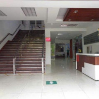 Cho Thuê Nhà Xưởng Khu Chế Xuất Tân Thuận Quận 7