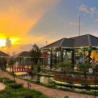 Cần Bán Homestay Ngay Trung Tâm Bảo Lộc, Đang Đi Vào Hoạt Động Ổn Định. Giá Chỉ 24 Tỷ