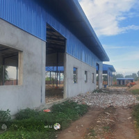 Cho Thuê 2 Nhà Xưởng Mới 1000M2 Và 2000M2 Đang Hoàn Thiện Tại An Phú Đông . Q12.