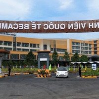 Cần Tiền Lo Công Việc Nên Tôi Bán Miếng Đất Ngay Tt Thuận An Giáp Chợ Đầu Mối Thủ Đức Giá Bán 3Ty 100 Triệu