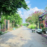 Đất Ngang 8M Đường Trường Lưu, Long Trường, Quận 9, 137M, Giá Bán 3.5 Tỷ