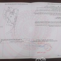 Nhà Vườn Tại Đường B''lao Xê Rê, Đại Lào, Bảo Lộc, Lâm Đồng, Giá Siêu Hời 8,5 Tỷ, 1965M2