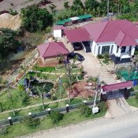Nhà Vườn Tại Đường B''lao Xê Rê, Đại Lào, Bảo Lộc, Lâm Đồng, Giá Siêu Hời 8,5 Tỷ, 1965M2