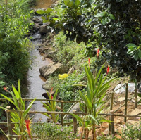 Đất 1035M2 Làm Nhà Vườn Tại Bảo Lộc, Sổ Sẵn, An Ninh, Suối Tự Nhiên Bao Quanh. 0903747657