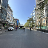 Chỉ 21.9 Tỷ Có Nhà Mp Âu Cơ 60M 8Tmặt Tiền6M Lô Góc View Hồ Tây, Mặt Tiền Siêu Rộng, Đường 8 Làn Xe