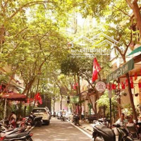 Cho Thuê Nhà Mặt Phố Vạn Phúc -Tt Ba Đình -Phù Hợp Làm Quán Cafe Hoặc Nhà Hàng Cao Cấp