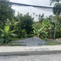 Bán Đất Hẻm 163 Một Xẹt Hà Duy Phiên , Xã Bình Mỹ , Huyện Củ Chi Tphcm ( 1.558M2 ) Thổ Cư 1.250M2