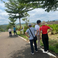 Bán Đất Siêu Hot Khúc Thừa Dụ, Lộc Tân, Bảo Lâm, Lâm Đồng, 529 Triệu, 102 M2