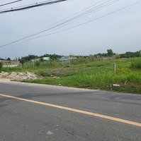 Bán 1100M2 Đất Cây Lâu Năm Mặt Tiền Triệu Đô Nhà Bè